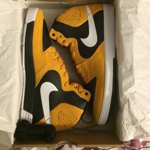 NEED GONE!! Final cut Nike Paul Rodriguez 7 high