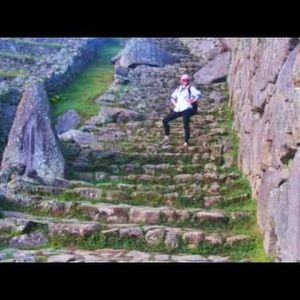 Meet your Posher, Molly