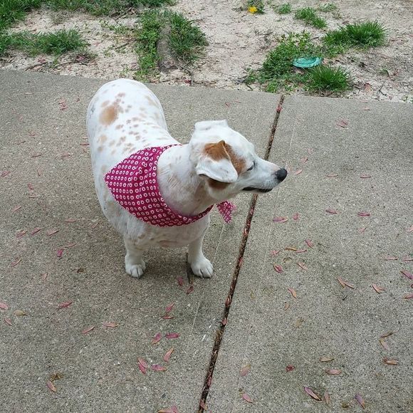 Meet your Posher, Debbie - Picture 1 of 1