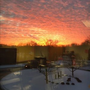 Meet your Posher, Meg