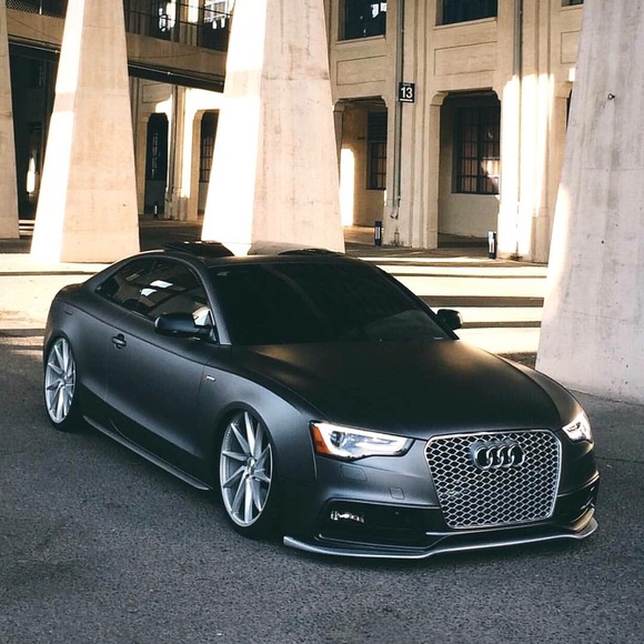 Meet your Posher, Pablo - Picture 1 of 1