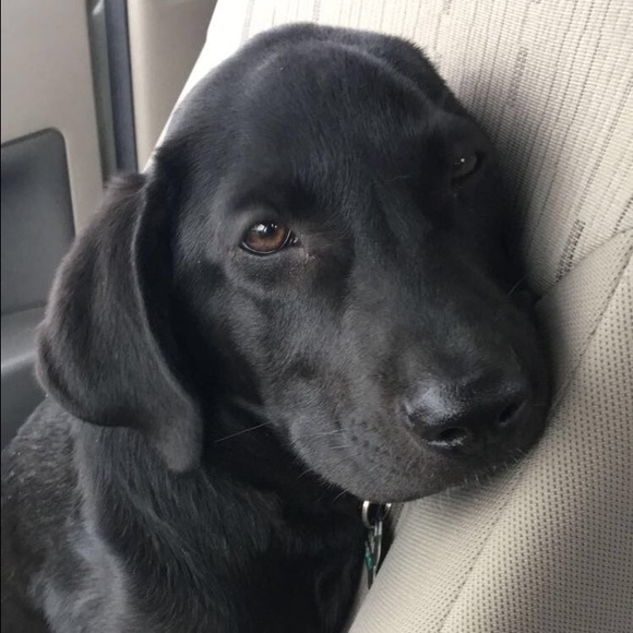 Meet your Posher, Kayla - Picture 1 of 1