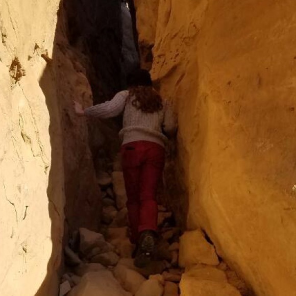 Meet your Posher, Addie - Picture 1 of 1