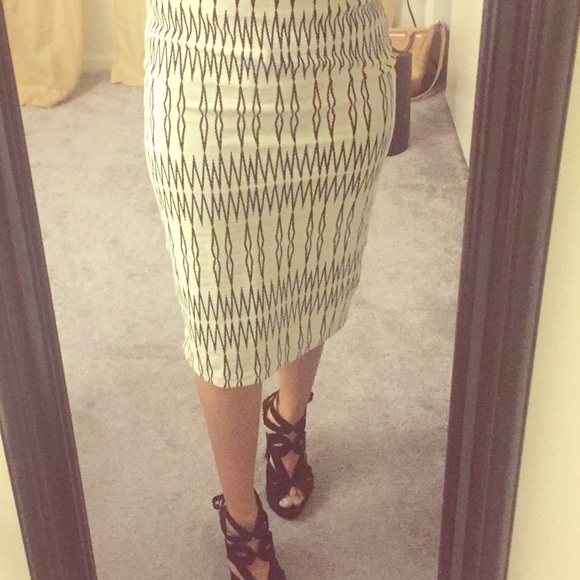 ZARA SKIRT NWT