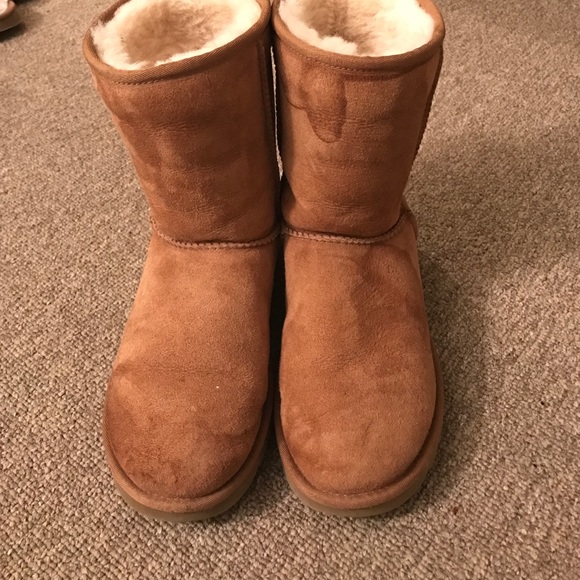 Short chestnut uggs