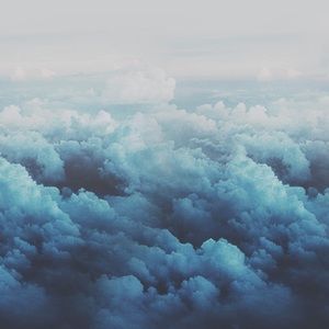 Meet your Posher, Daphne