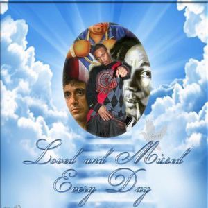 Meet your Posher, Sasha