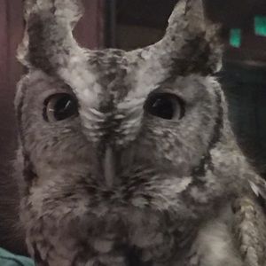 Meet your Posher, Colleen