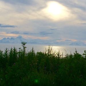 Meet your Posher, Mariah