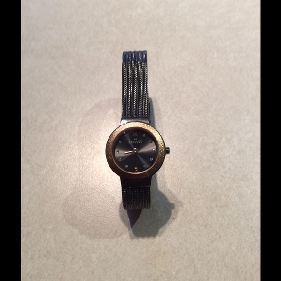 Skagen Women's Watch