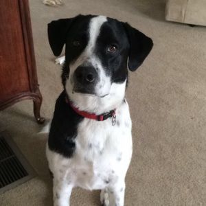 Meet your Posher, Craig