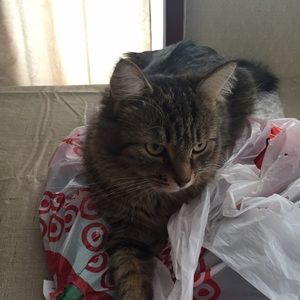 Meet your Posher, Sue