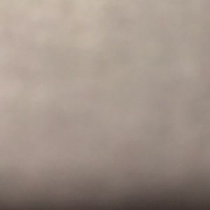 Meet your Posher, Holly