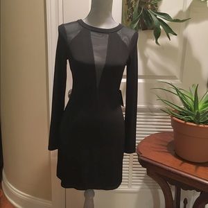 EXPRESS Sheer V-Neck Dress