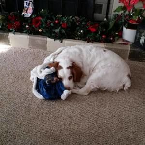 Meet your Posher, Carol