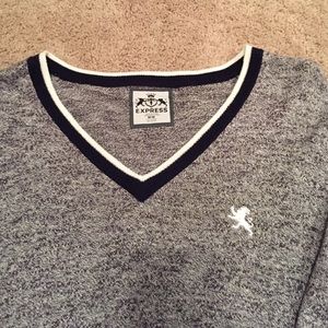 Men's Express Cotton Knit V-Neck Sweater