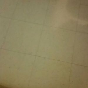 Meet your Posher, Ebony