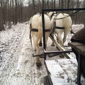 Meet your Posher, Maura