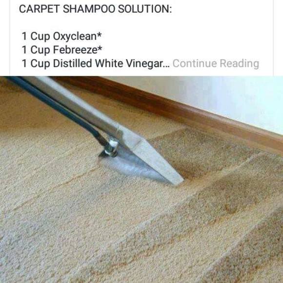 Meet your Posher, Ann - Picture 1 of 1