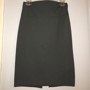 Express Pencil Skirt