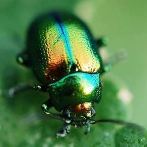 Meet your Posher, Jolanta