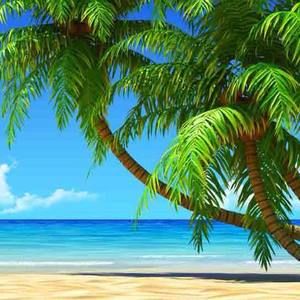 Meet your Posher, Trish