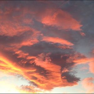 Meet your Posher, Bree