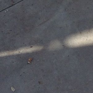 Meet your Posher, Jean