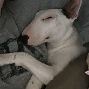 Meet your Posher, Shellie