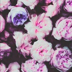 Meet your Posher, Isabel