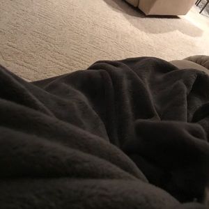 Meet your Posher, Brandy