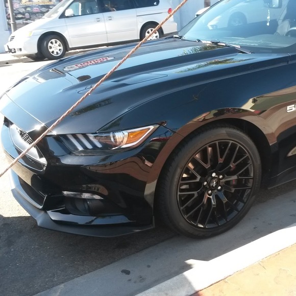 Meet your Posher, Michael - Picture 1 of 1