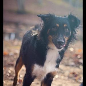 Meet your Posher, Jenni