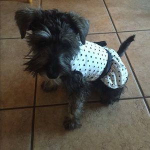 Meet your Posher, Mikaela