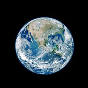 Meet your Posher, Bella