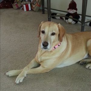 Meet your Posher, Wendy