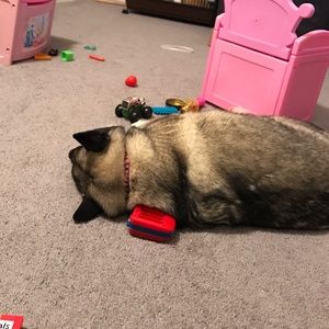 Meet your Posher, Tyler