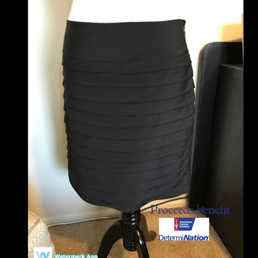 Perfect Little Knee-Length Black Skirt