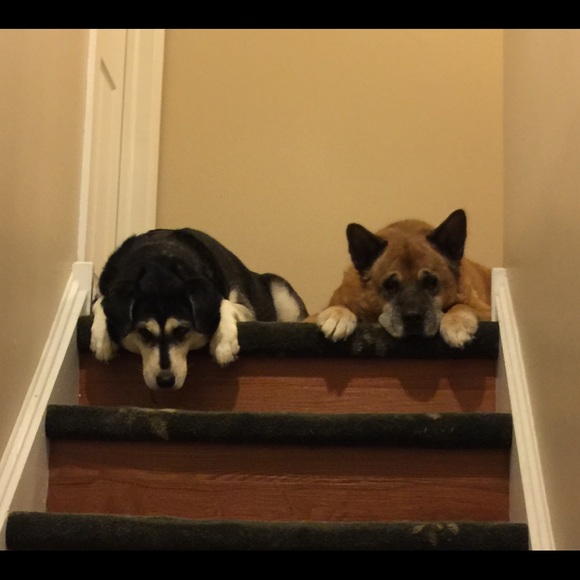 Meet your Posher, Alyssa - Picture 6 of 6