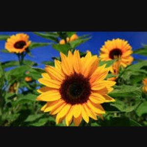 Meet your Posher, Jen