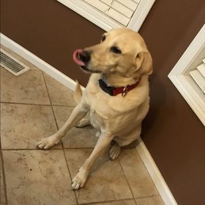 Meet your Posher, Quentin