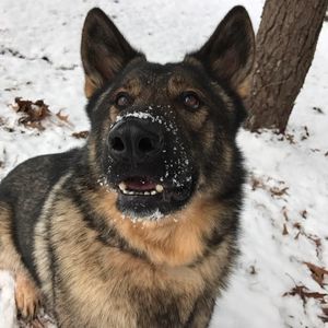 Meet your Posher, Ally