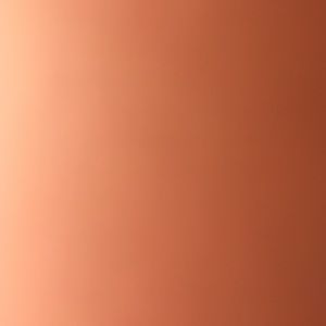 Meet your Posher, Leila