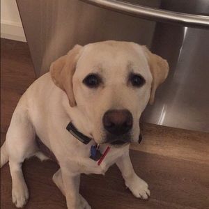 Meet your Posher, Claire