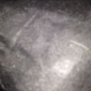 Meet your Posher, Maddy