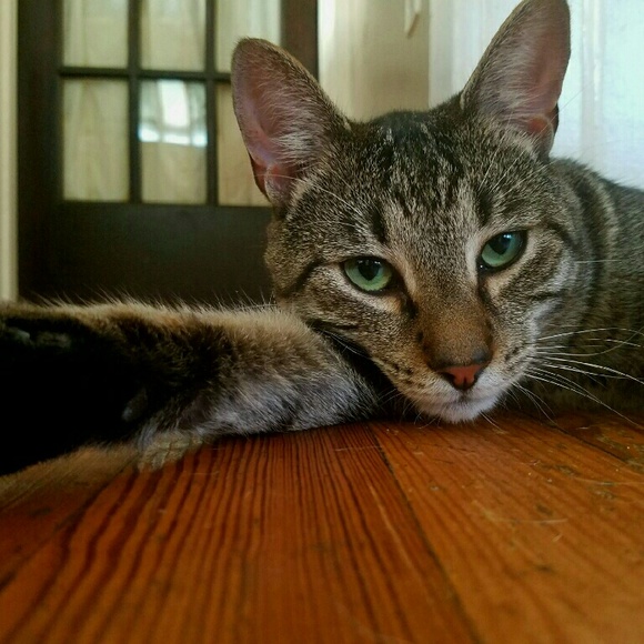 Away at School! - Picture 1 of 1