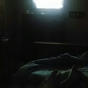 Meet your Posher, Sandy