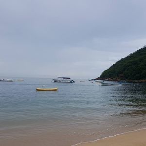 Meet your Posher, Liss