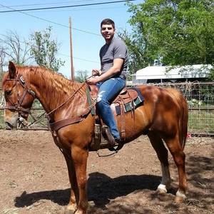 Meet your Posher, Manuel