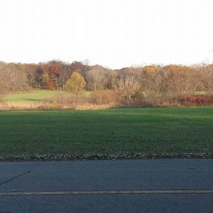 Meet your Posher, Colleen